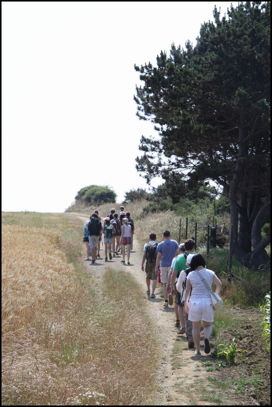 195_IMG_0804.JPG (132 KB)