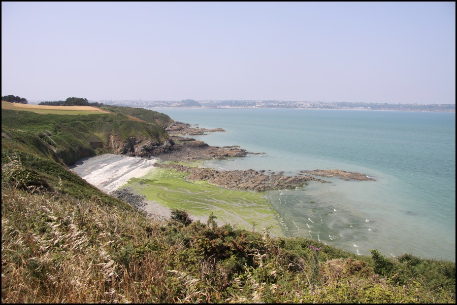 197_IMG_0806.JPG (151 KB)