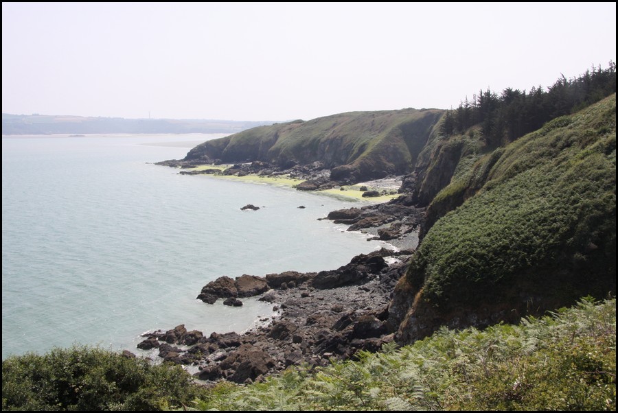 198_IMG_0807.JPG (141 KB)