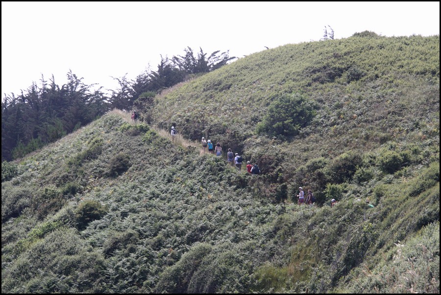 199_IMG_0809.JPG (222 KB)