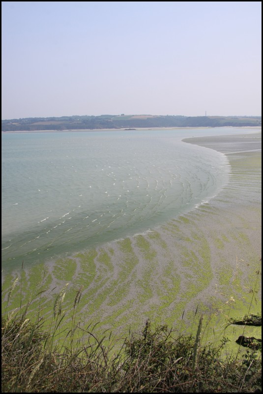 200_IMG_0810.JPG (94.1 KB)