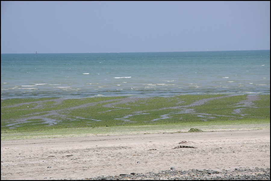 201_IMG_0811.JPG (118 KB)