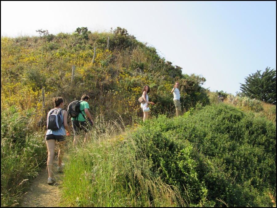 217_IMG_0377.JPG (245 KB)