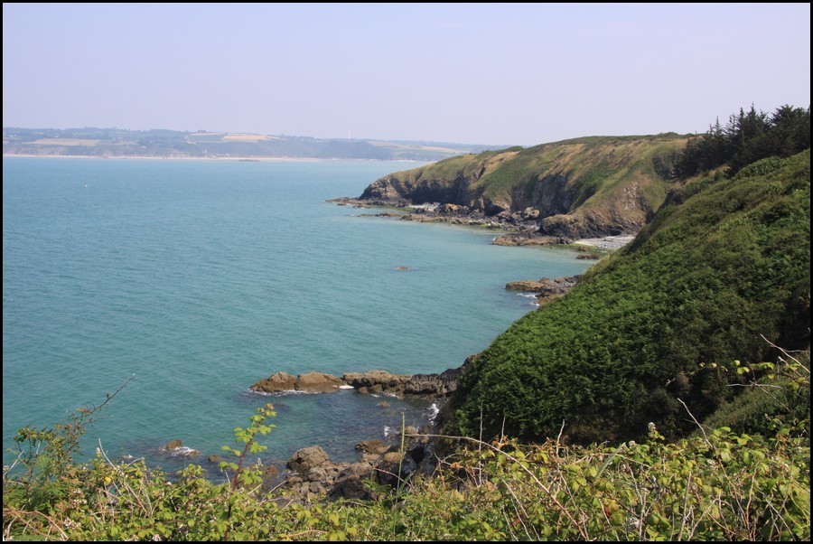 218_IMG_0838.JPG (159 KB)