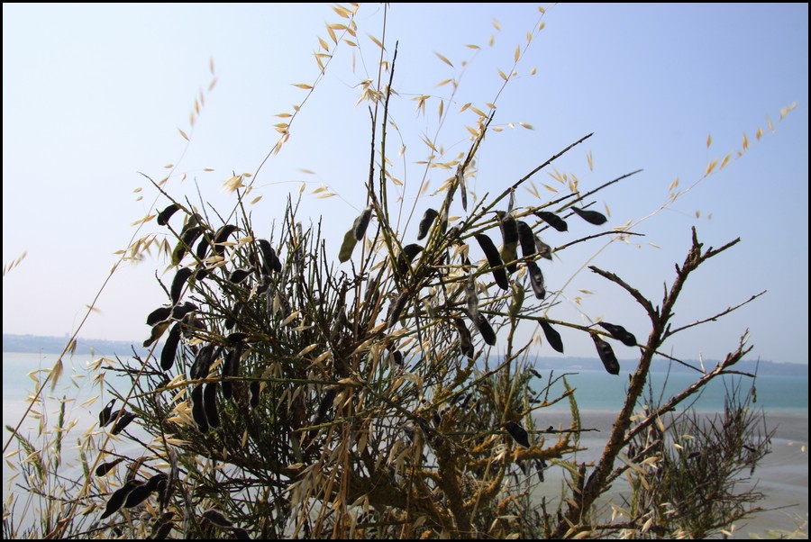 221_IMG_0841.JPG (170 KB)