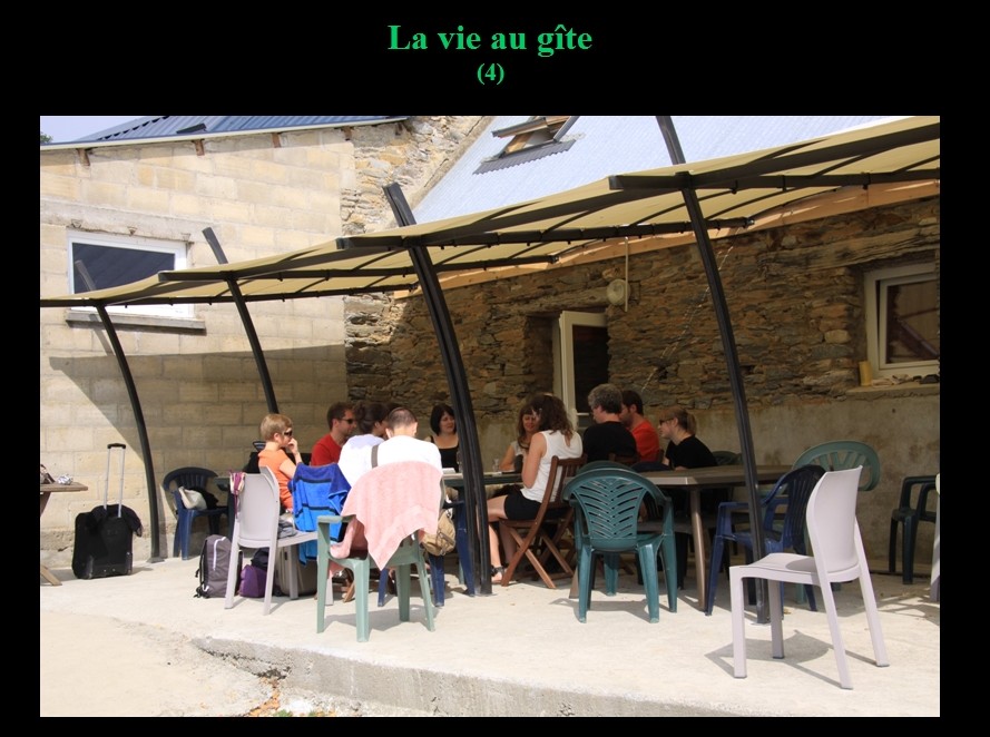 228_000.jpg (137 KB)