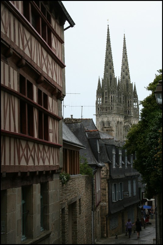 252_IMG_2030.JPG (106 KB)