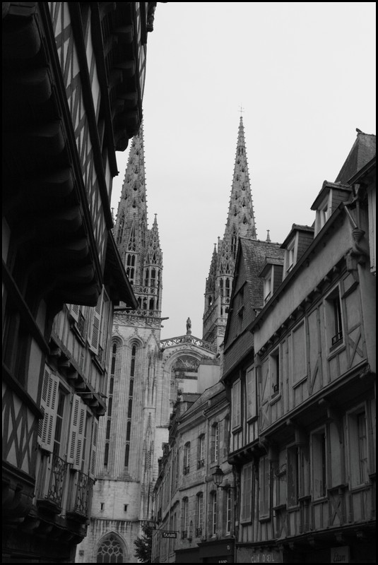 256_IMG_2668.jpg (95.6 KB)