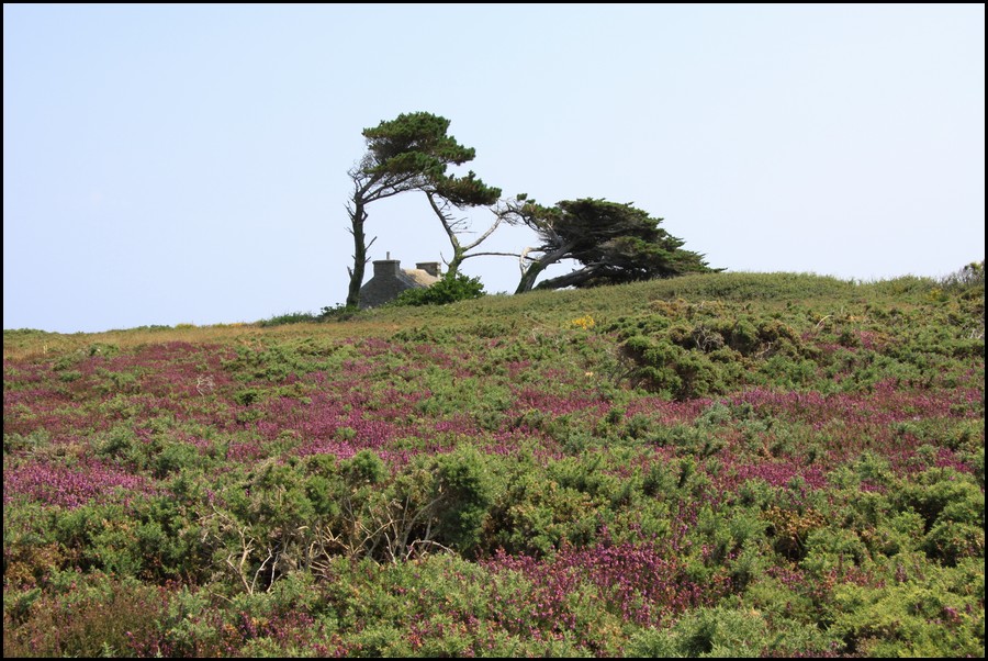 279_IMG_0888.JPG (184 KB)