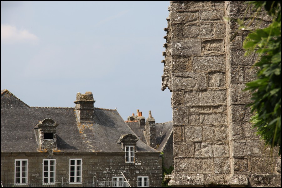 286_IMG_0919.JPG (167 KB)