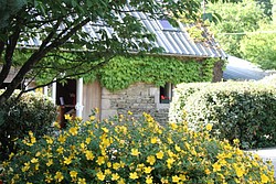 004_IMG_2507.JPG(256 KB)