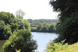 042_IMG_1863.jpg(208 KB)