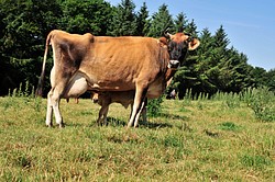 102_DSC4395.jpg(247 KB)