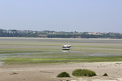 191_IMG_2019.jpg(126 KB)