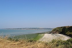 219_IMG_2078.jpg(132 KB)