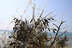 221_IMG_0841.JPG(170 KB)