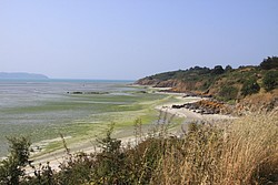 227_IMG_0847.JPG(151 KB)