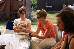 240_IMG_0854.JPG(133 KB)