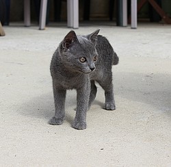 243_IMG_2094.jpg(102 KB)