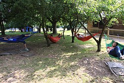 244_IMG_0860.JPG(253 KB)