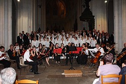 263_IMG_2687.JPG(146 KB)