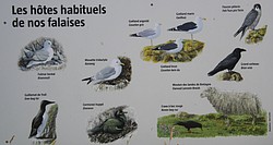 281_IMG_0901.JPG(87.7 KB)