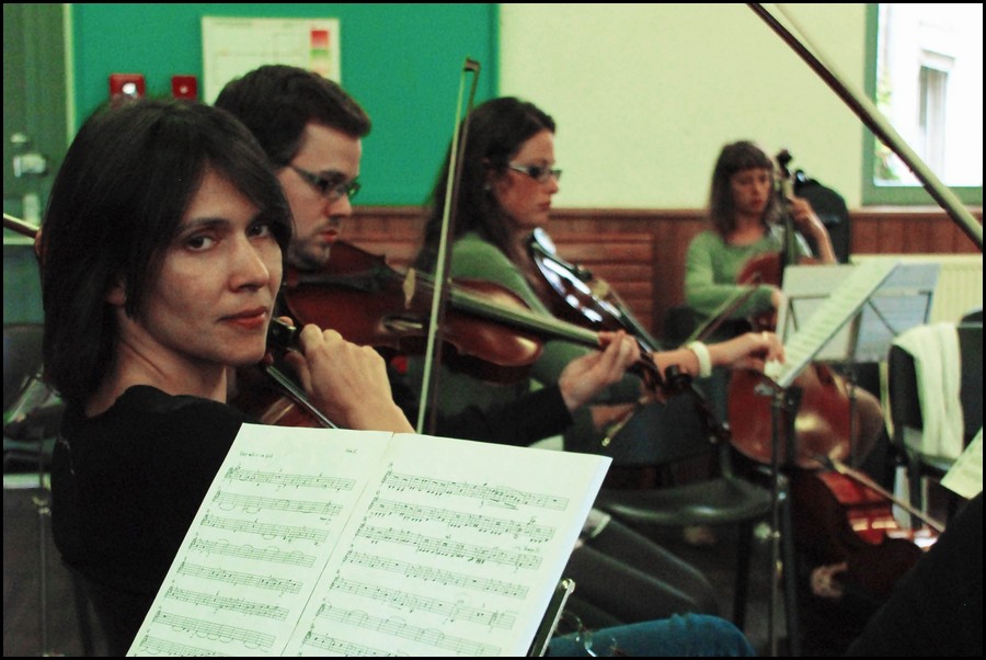 023_DSC_3445.JPG (117 KB)