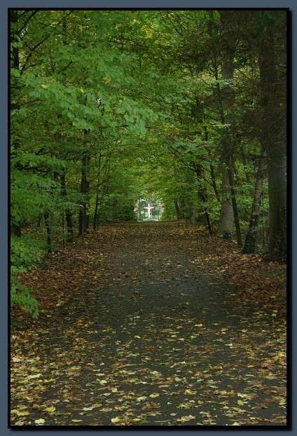 IMG_7680-cimi-2009-10-25.jpg (114 KB)