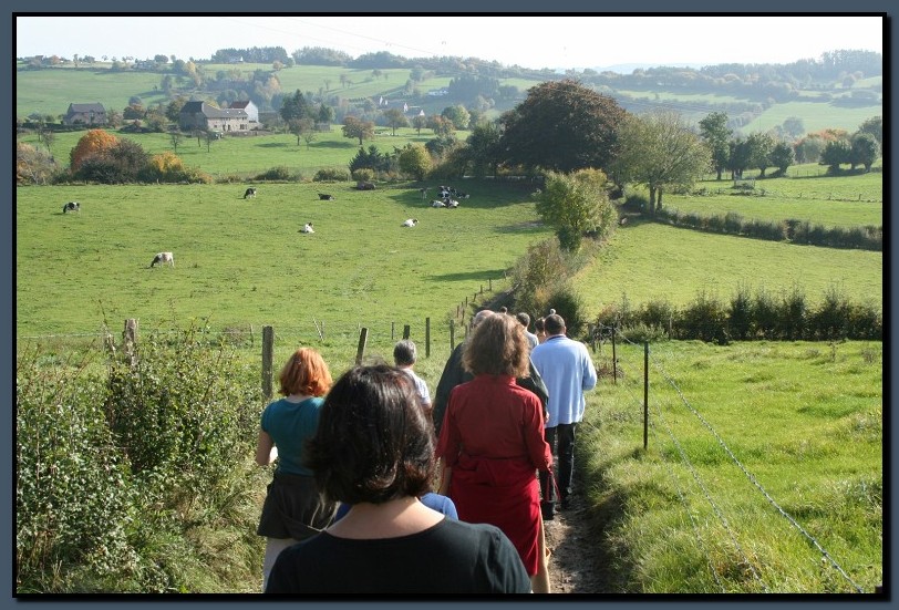 IMG_6745-cimi_2008-10-12.jpg (166 KB)