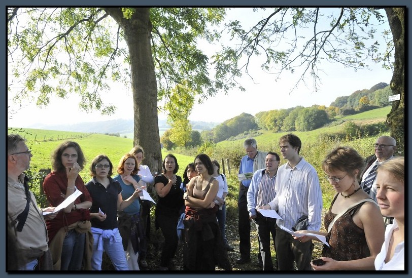 _DSC2365-cimi_2008-10-12.jpg (176 KB)