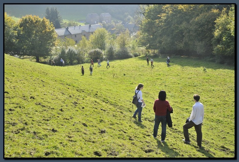 _DSC2388-cimi_2008-10-12.jpg (193 KB)