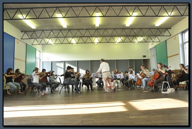 _DSC2397-cimi_2008-10-12.jpg (129 KB)