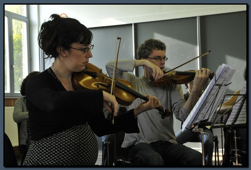 _DSC2437-cimi_2008-10-12.jpg (103 KB)