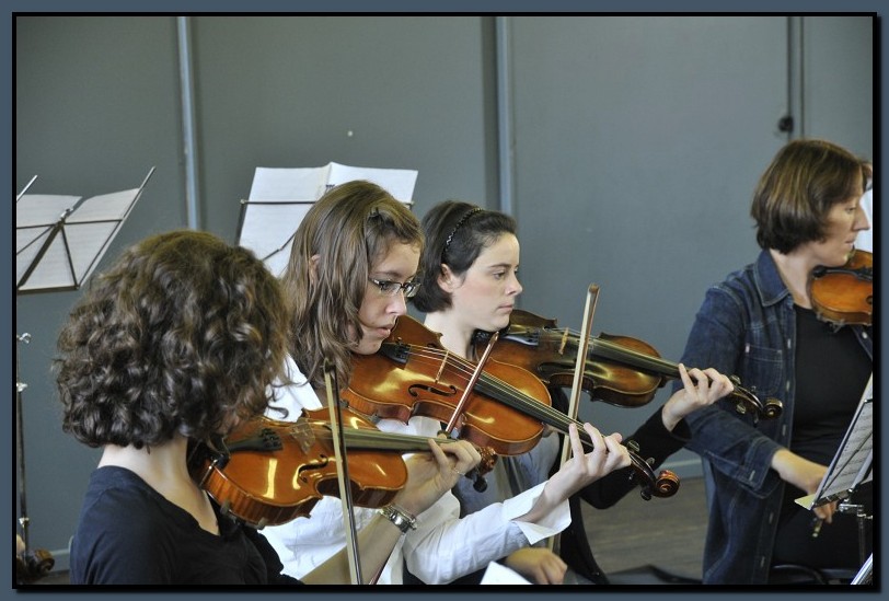 _DSC2541-cimi_2008-10-12.jpg (102 KB)