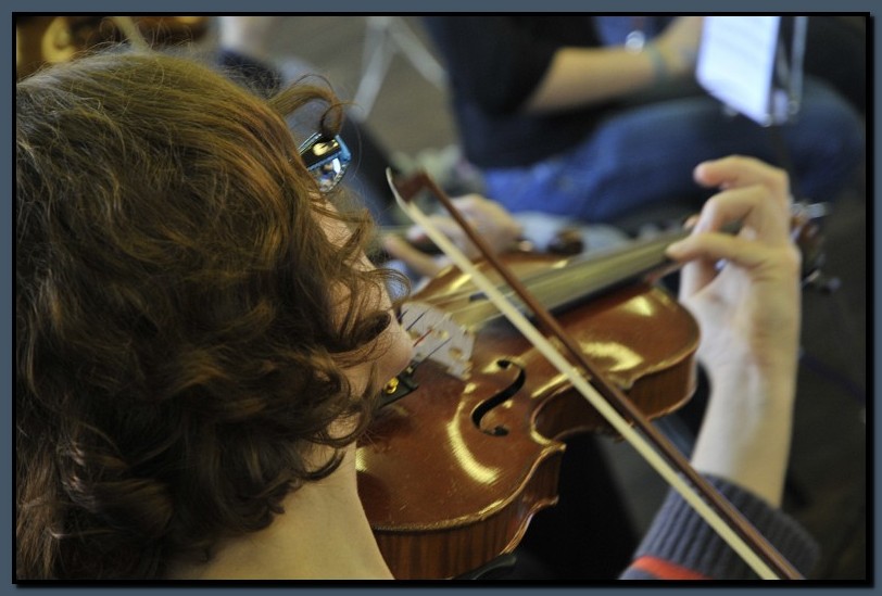 _DSC2542-cimi_2008-10-12.jpg (88,5 KB)