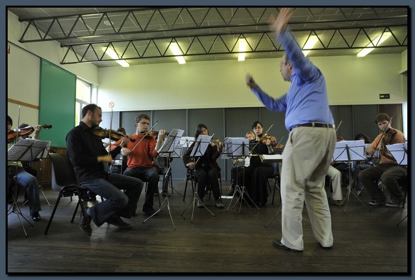 _DSC2574-cimi_2008-10-12.jpg (115 KB)