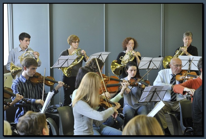 _DSC2595-cimi_2008-10-12.jpg (119 KB)