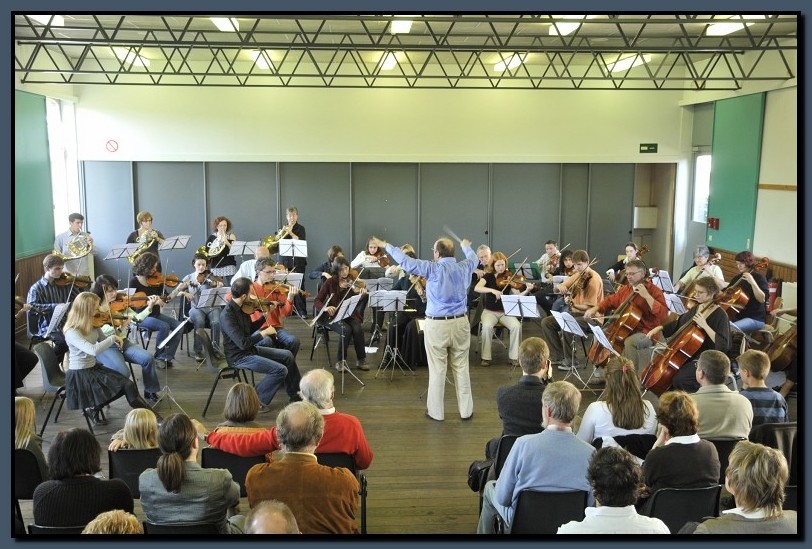 _DSC2596-cimi_2008-10-12.jpg (147 KB)