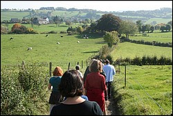 IMG_6745-cimi_2008-10-12.jpg(166 KB)