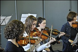 _DSC2541-cimi_2008-10-12.jpg(102 KB)