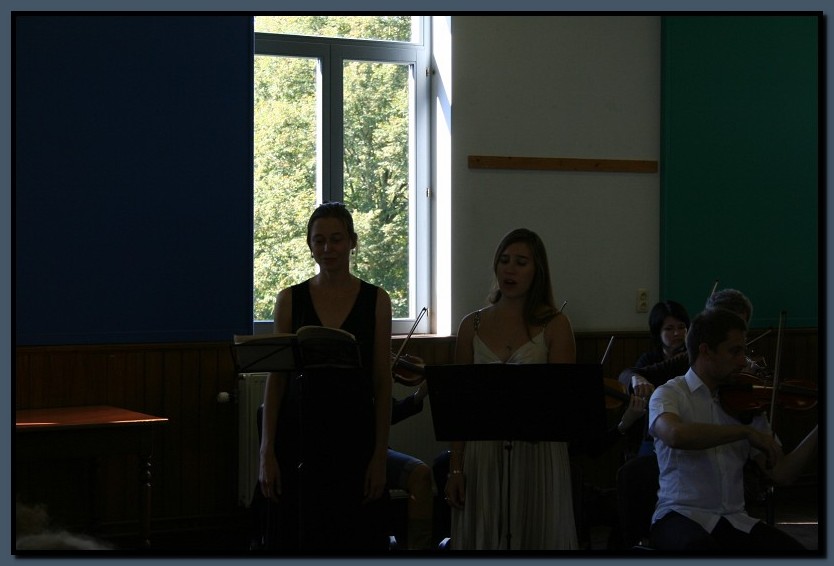 IMG_8602.jpg (71,3 KB)