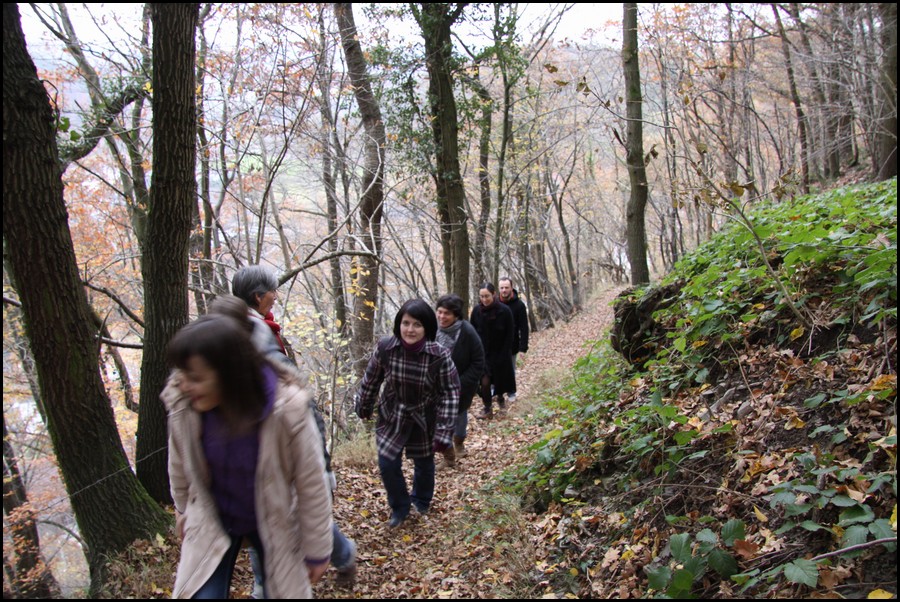 IMG_0882.JPG (248 KB)