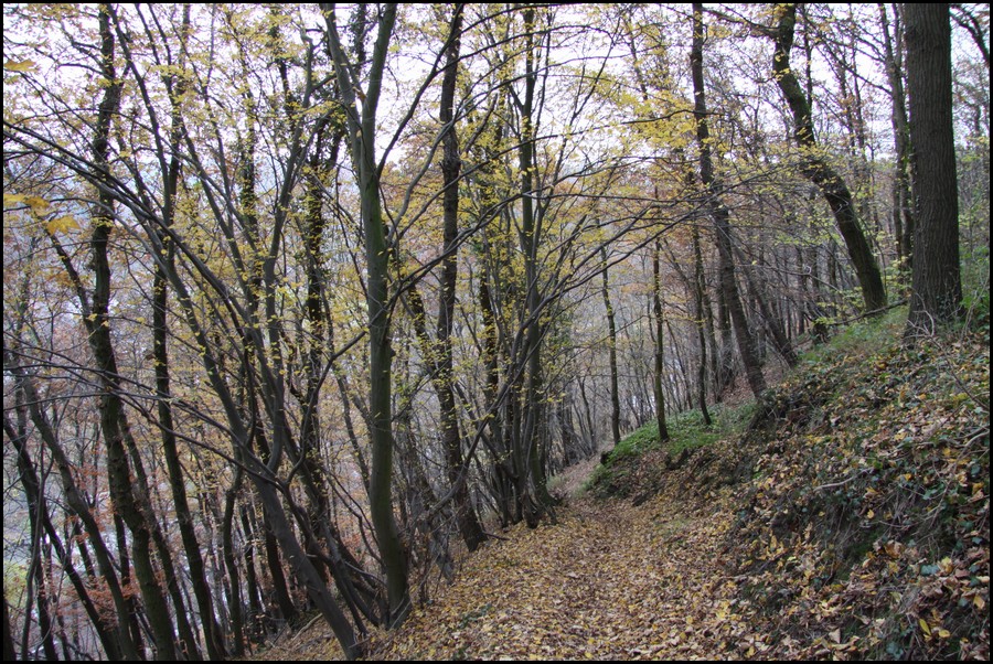 IMG_0885.JPG (300 KB)