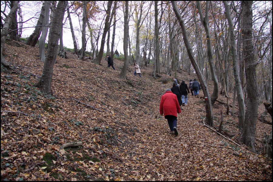 IMG_0886.JPG (280 KB)