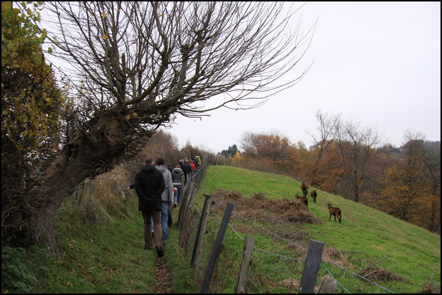 IMG_0897.JPG (198 KB)