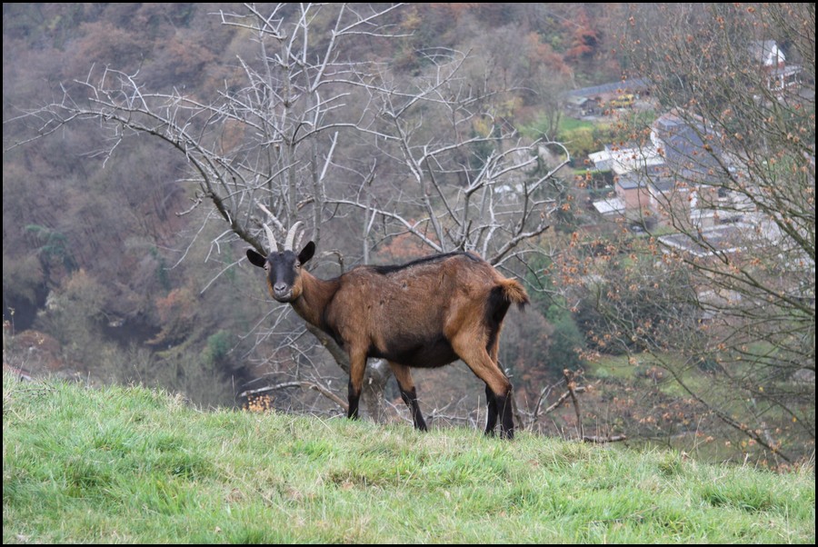 IMG_0899.JPG (193 KB)