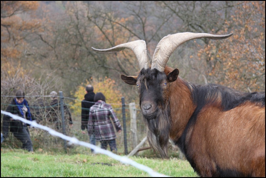 IMG_0900.JPG (139 KB)