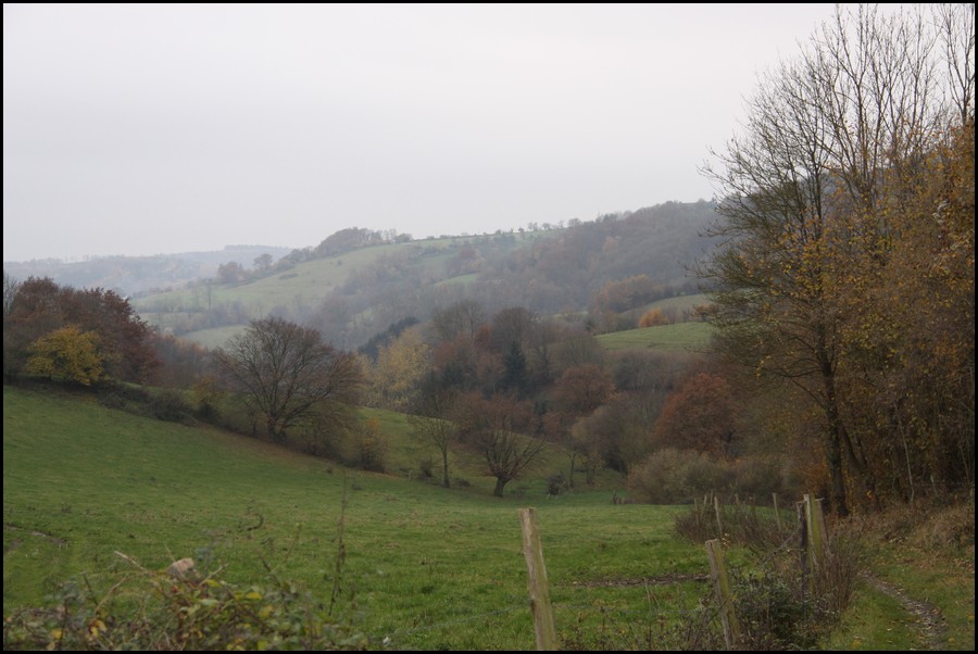 IMG_0909.JPG (120 KB)