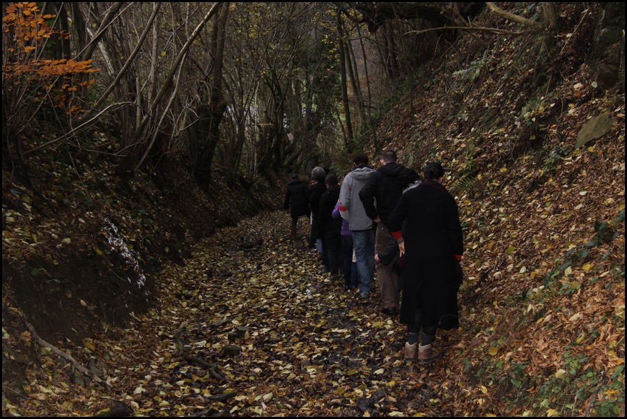 IMG_0910.JPG (224 KB)