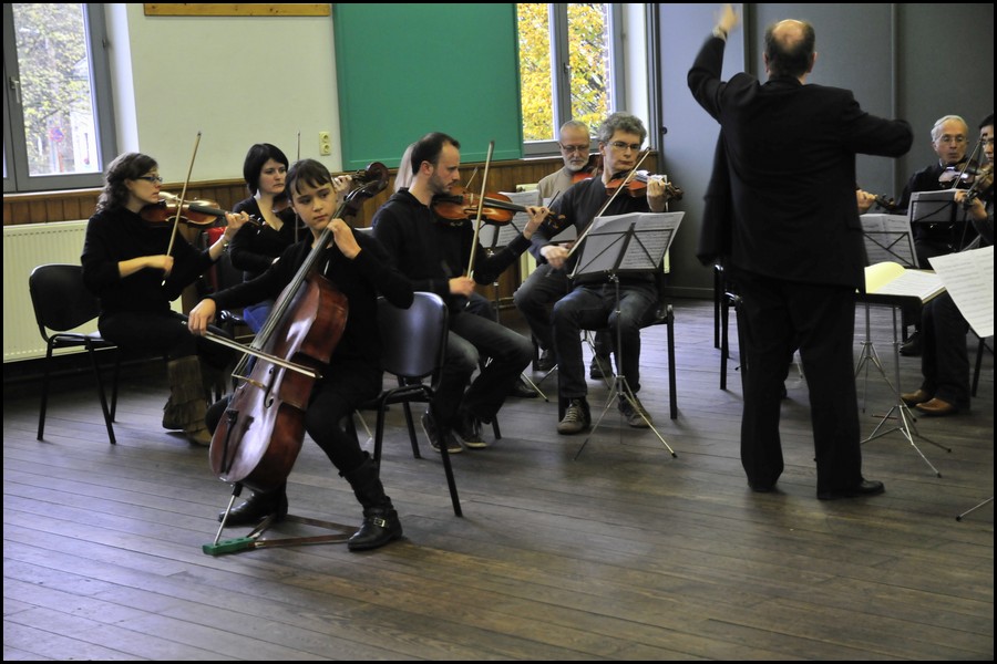 IMG_0990.JPG (127 KB)